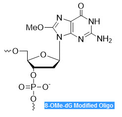 Bio-Synthesis Inc. Oligo Structure